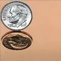 Polished Bronze Finish